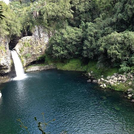 Le Beau Vallon 1- Jacuzzi Privatif Et Piscine Chauffee Partagee Saint-Benoît Εξωτερικό φωτογραφία